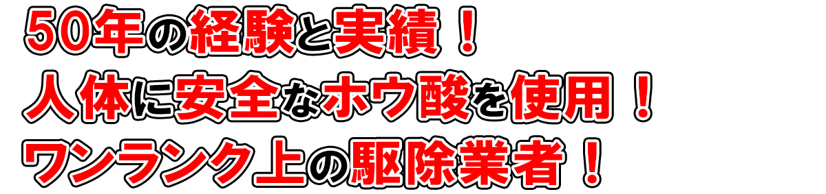 ホウ酸使用 白アリファイターズ・和歌山県橋本市・大阪・奈良